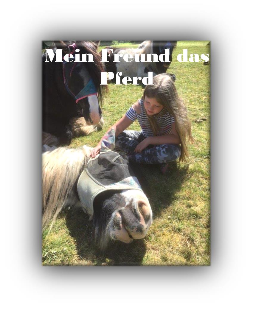 Mein Freund das Pferd