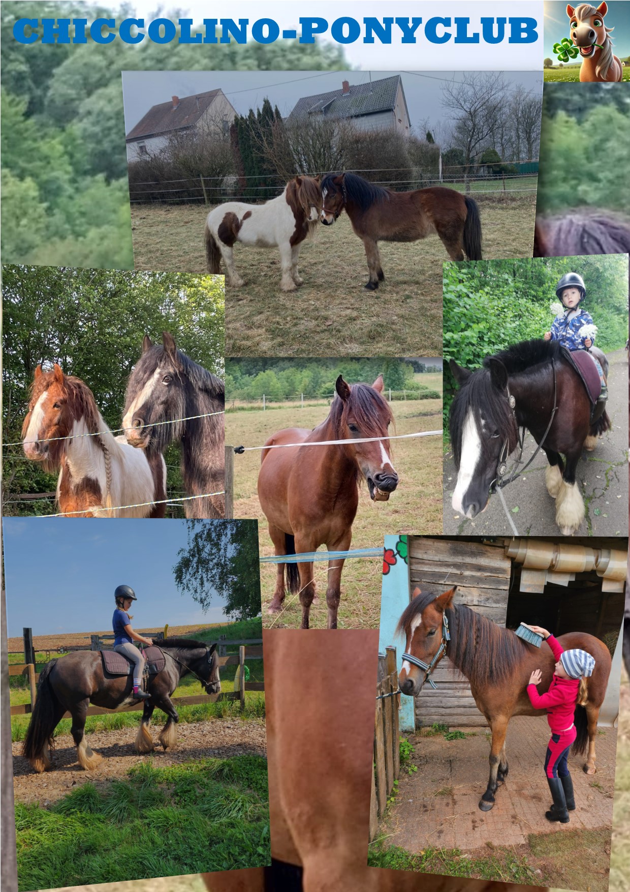 Chiccolino Ponyclub