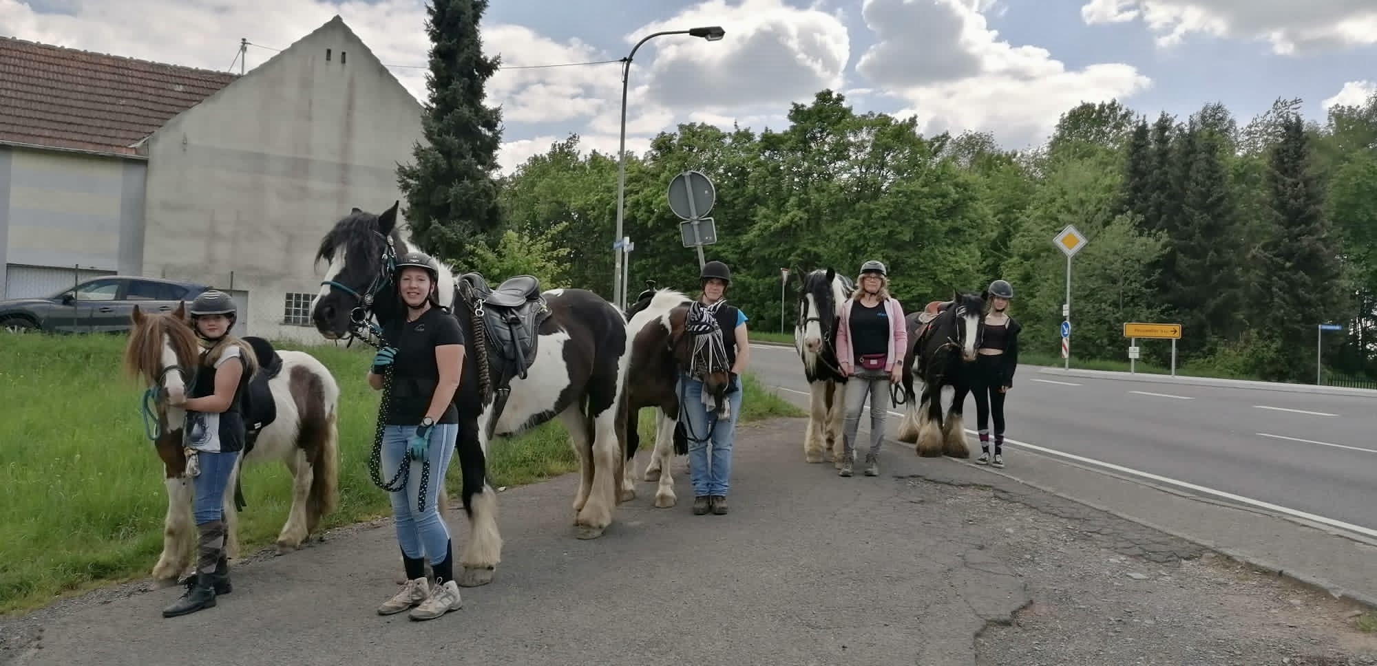 Einzug ins Sommerquartier 2